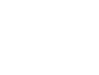 Ford Logo in white on transparent background